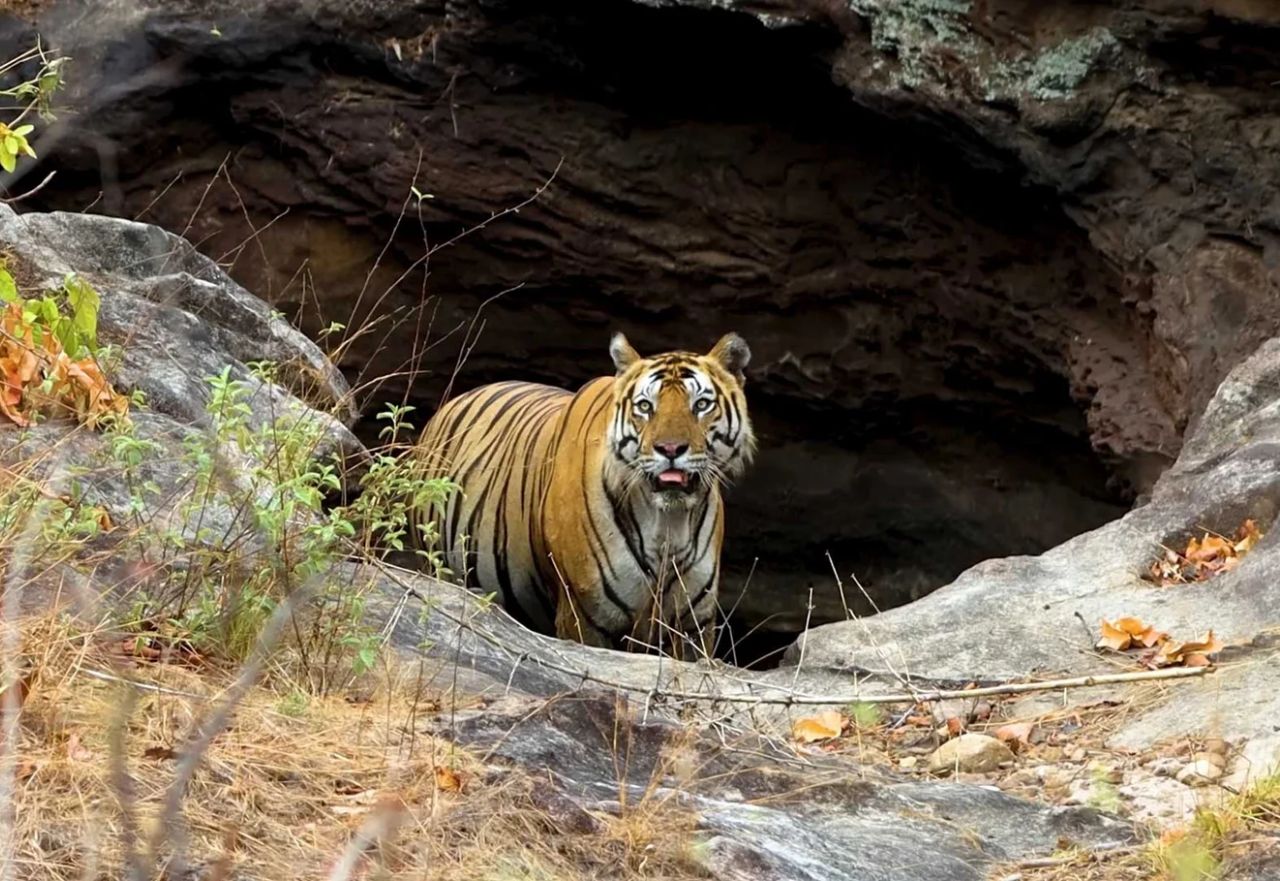 Madhya Pradesh destination photo